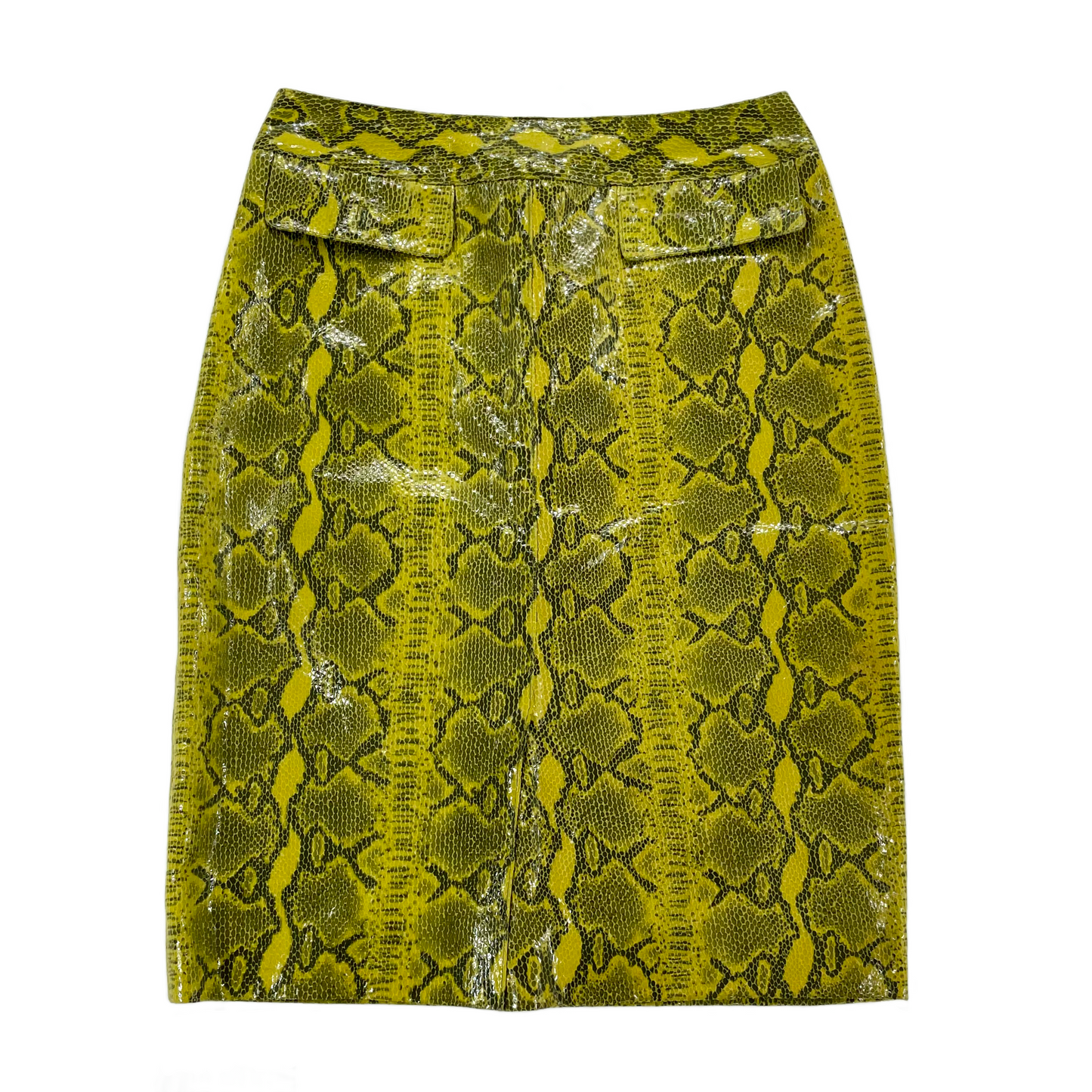 Vintage Snake Print Skirt